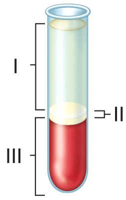 What is the normal concentration range of the formed element that comprises the blood component labeled III in the figure?   A) 400,000-1 million cells/μL B) 150-200 cells/μL C) 4) 8-5.4 million cells/μL D) 150,000-400,000 cells/μL E) 5,000-10,000 cells/μL