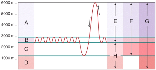 Which area in the figure is the sum of the tidal volume and the inspiratory reserve volume and expiratory reserve volume?   A) H B) B C) G D) E E) F