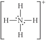 Choose the best Lewis structure for NH<sub>4</sub>⁺. A)    B)    C)    D)    E)   