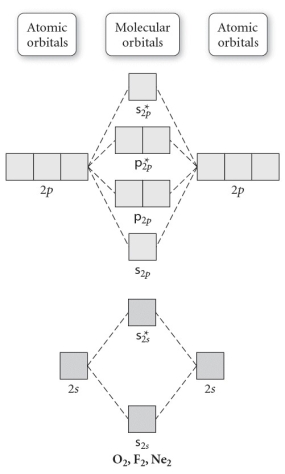Use the molecular orbital diagram shown to determine which of the following is least stable.   A) F<sub>2</sub> B) F<sub>2</sub><sup>2</sup>⁺ C) Ne<sub>2</sub><sup>2</sup>⁺ D) O<sub>2</sub><sup>2</sup>⁺ E) F<sub>2</sub><sup>1</sup>⁻