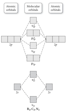 Use the molecular orbital diagram shown to determine which of the following is most stable.   A) C<sub>2</sub><sup>2</sup>⁺ B) N<sub>2</sub><sup>2</sup>⁺ C) B<sub>2</sub> D) C<sub>2</sub><sup>2</sup>⁻ E) B<sub>2</sub><sup>2</sup>⁺
