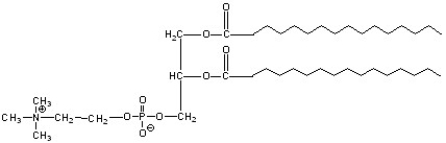 What type of lipid is the following compound?   A) steroid B) phospholipid C) glycolipid D) fatty acid E) triglyceride