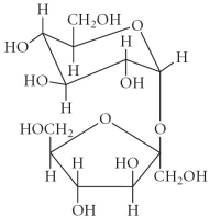 Choose the disaccharide from the compounds below. A)    B)    C)    D)    E)   