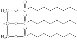 Choose the polysaccharide from the compounds below. A)    B)    C)    D)    E)   