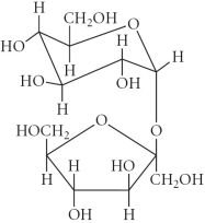 Choose the polysaccharide from the compounds below. A)    B)    C)    D)    E)   