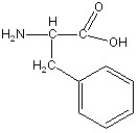 Match the following.  -  A) glycine B) lysine C) alanine D) serine E) phenylalanine F) aspartic acid