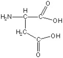 Match the following.  -  A) glycine B) lysine C) alanine D) serine E) phenylalanine F) aspartic acid