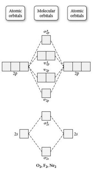 Use the molecular orbital diagram shown to determine which of the following is most stable.   A) F<sub>2</sub> B) F<sub>2</sub><sup>2</sup><sup>+</sup> C) Ne<sub>2</sub><sup>2</sup><sup>+</sup> D) O<sub>2</sub><sup>2</sup><sup>+</sup> E) F<sub>2</sub><sup>2</sup><sup>-</sup>