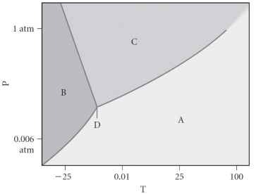 Assign the appropriate labels to the phase diagram shown below.   A) A = liquid,B = solid,C = gas,D = critical point B) A = gas,B = solid,C = liquid,D = triple point C) A = gas,B = liquid,C = solid,D = critical point D) A = solid,B = gas,C = liquid,D = supercritical fluid E) A = liquid,B = gas,C = solid,D = triple point