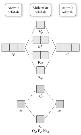Use the molecular orbital diagram shown to determine which of the following are paramagnetic.   A)  O<sub>2</sub><sup>2</sup>⁻ B)  Ne<sub>2</sub><sup>2</sup>⁺ C)  O<sub>2</sub><sup>2</sup>⁺ D)  F<sub>2</sub><sup>2</sup>⁺ E)  None of the above are paramagnetic.
