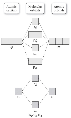 Use the molecular orbital diagram shown to determine which of the following is MOST stable.   A)  C<sub>2</sub><sup>2</sup>⁺ B)  N<sub>2</sub><sup>2</sup>⁺ C)  B<sub>2</sub> D)  C<sub>2</sub><sup>2</sup>⁻ E)  B<sub>2</sub><sup>2</sup>⁺