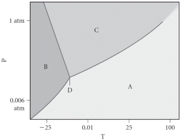 Assign the appropriate labels to the phase diagram shown below.   A) A = liquid,B = solid,C = gas,D = critical point B) A = gas,B = solid,C = liquid,D = triple point C) A = gas,B = liquid,C = solid,D = critical point D) A = solid,B = gas,C = liquid,D = supercritical fluid E) A = liquid,B = gas,C = solid,D = triple point