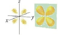 Identify the orbital.   A)  d orbital B)  d<sub>xy</sub> orbital C)  p<sub>x</sub> orbital D)  f orbital E)  p<sub>y</sub> orbital