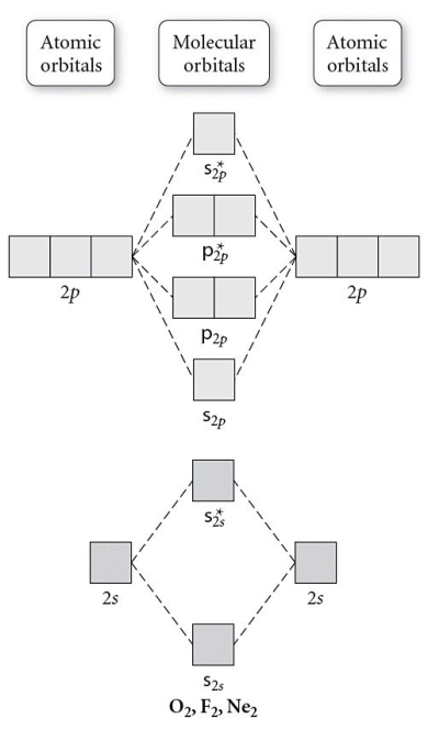 Use the molecular orbital diagram shown to determine which of the following is most stable.   A)  F<sub>2</sub> B)  F<sub>2</sub><sup>2</sup>⁺ C)  Ne<sub>2</sub><sup>2</sup>⁺ D)  O<sub>2</sub><sup>2</sup>⁺ E)  F<sub>2</sub><sup>2</sup>⁻