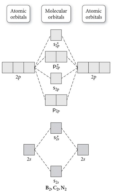 Use the molecular orbital diagram shown to determine which of the following is most stable.   A)  C<sub>2</sub><sup>2</sup>⁺ B)  N<sub>2</sub><sup>2</sup>⁺ C)  B<sub>2</sub> D)  C<sub>2</sub><sup>2</sup>⁻ E)  B<sub>2</sub><sup>2</sup>⁺