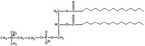 What type of lipid is the following compound?   A)  steroid B)  phospholipid C)  glycolipid D)  fatty acid E)  triglyceride