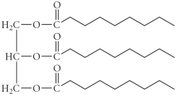 Choose the disaccharide from the compounds below. A)    B)    C)    D)    E)   