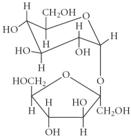 Choose the disaccharide from the compounds below. A)    B)    C)    D)    E)   