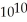 <strong>The distance between the two hydrogen atoms in a molecule of water is 0.000000000172 m.Express this distance in scientific notation.</strong> A)1.72 × m B)1.72 × m C)0.172 × m D)17.2 × m E)1.72 × m