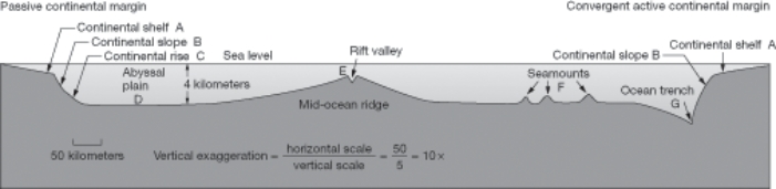 Refer to the figure below.Match the term to the numbered ocean floor feature on the figure.You may use each answer once,more than once,or not at all.     -continental rise A) A B) B C) C D) D E) E F) F G) G 