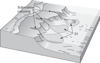 The sea floor feature in the figure is most likely a result of:   A) pillow lava. B) submarine fans. C) turbidity currents. D) underwater boundary currents. E) volcanic activity.