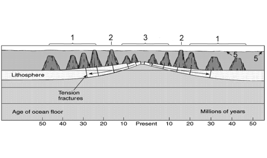 Refer to the below.Use the labeled features on the Figure to answer questions     -Seamounts are the feature labeled: A) 1. B) 2. C) 3. D) 4. E) 5.