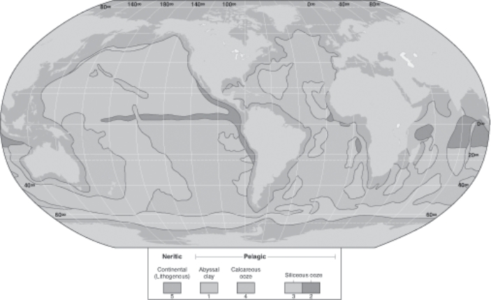 Refer to the figure below illustrating the world-wide distribution of marine sediments.Different areas of ocean sediments are indicated by different numbers.Use these numbers to answer the questions below.    -The sediments that are produced in areas of high primary productivity are indicated by the number(s) : A) 1. B) 2. C) 3. D) 2 & 3. E) 3 & 4.