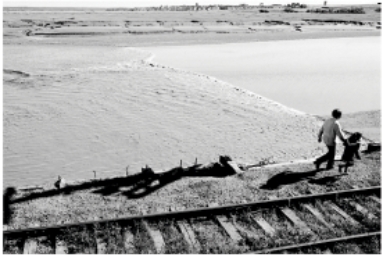 This wave formed on a river by the flood tide current is called a:   A) ebb tide. B) flood tide. C) seiche D) tidal bore. E) tsunami.
