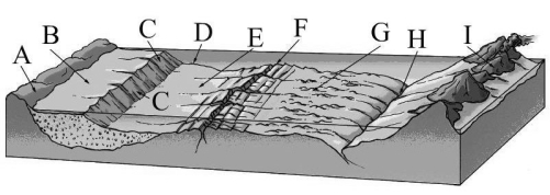 Refer to the figure below. Match the term to the numbered ocean floor feature on the figure. You may use each answer once, more than once, or not at all.    