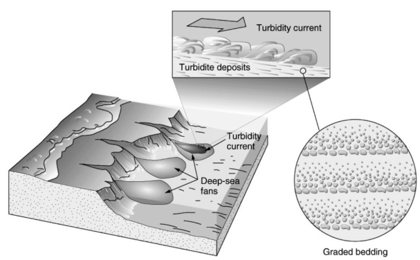 The sea floor feature in the figure is most likely a result of:   A)  pillow lava. B)  submarine fans. C)  turbidity currents. D)  underwater boundary currents. E)  volcanic activity.