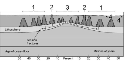 Refer to the below. Use the labeled features on the figure to answer the following question(s) .    -Seamounts are the feature labeled: A)  1. B)  2. C)  3. D)  4.
