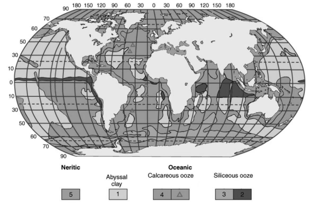 Refer to the figure below illustrating the world-wide distribution of marine sediments. Different areas of ocean sediments are indicated by different numbers. Use these numbers to answer the question(s)  below.    -Sediments that are derived primarily from the weathering on continental material are indicated by the number(s) : A)  1. B)  2. C)  2 & 3. D)  3 &4. E)  1 & 5.