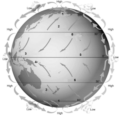 Refer to the figure below and use the numbers that correspond to global wind belts and latitudes to answer the following question(s) .    -The strongest winds on Earth are: A)  1 & 2. B)  1 & 3. C)  2 & 3. D)  2 & 4. E)  3 & 4.