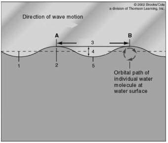 Refer to the figure below detailing wave characteristics. Use the information on the figure to answer the following question(s) .    -The lowest part of the wave corresponds to the number: A)  1. B)  2. C)  3. D)  4. E)  5.