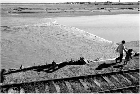 This wave formed on a river by the flood tide current is called a:   A)  ebb tide. B)  flood tide. C)  seiche D)  tidal bore. E)  tsunami.