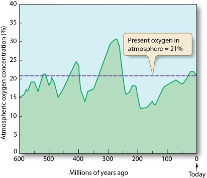   -Describe how the half-live of radioactive elements can be used to determine the age of rock through radiometric dating.
