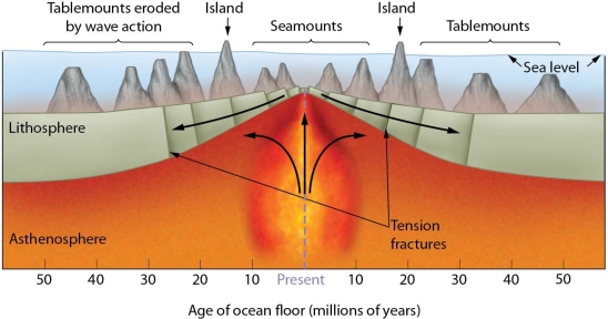   -How can plate tectonics be used to help explain the differences between a seamount and a tablemount?
