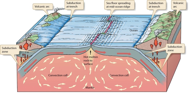   -How does convection in the asthenosphere explain ocean basin features, heat flow, and the thickness of the lithosphere?