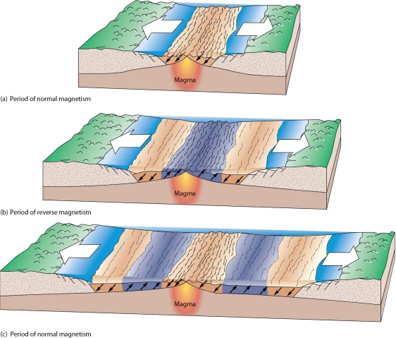   -Discuss changes in the lithosphere that occur between an oceanic ridge and an oceanic trench.