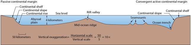   -Describe the differences between passive and active continental margins and how these features relate to plate tectonics.