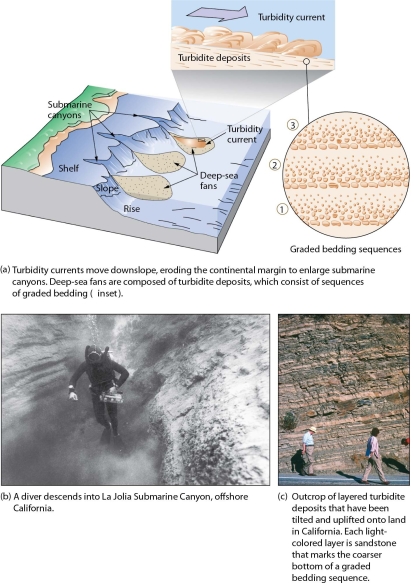   -Briefly describe how submarine canyons are created?