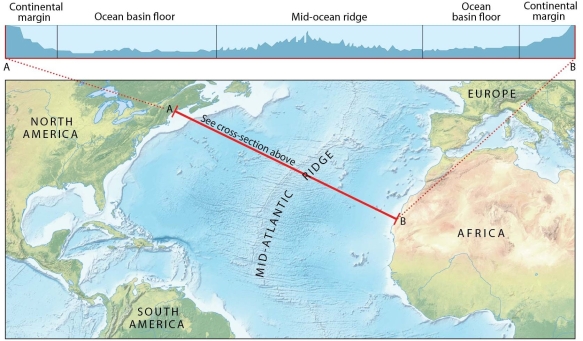   -Describe the major features of a passive continental margin as you move from the continent toward the center of the ocean basin.