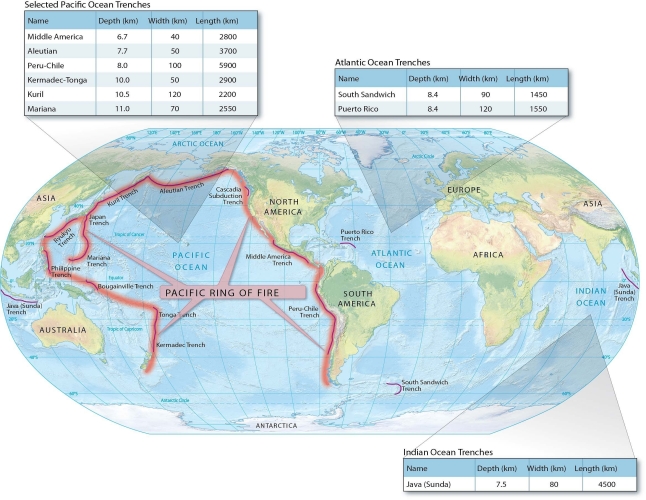   -In which ocean basin are most ocean trenches found? Use plate tectonic processes to explain why.