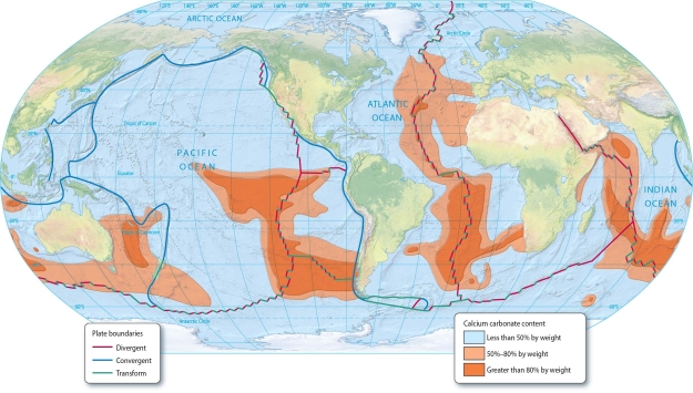   -How is the carbonate compensation depth (CCD)related to the worldwide distribution of calcareous oozes?