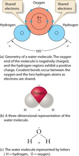   -Describe what condition exists in water molecules to make then dipolar.