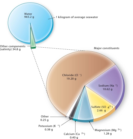   -List the major constituents dissolved in seawater in decreasing concentration.