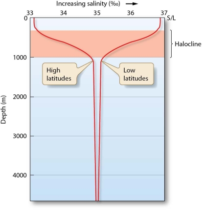   -How does the ocean's salinity vary with depth?