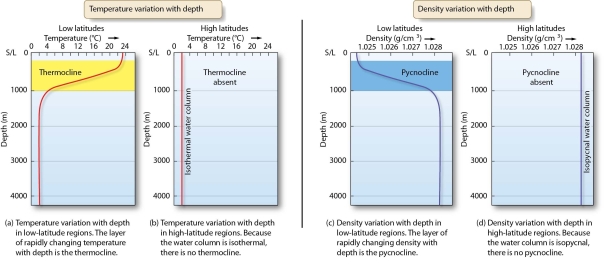   -Discuss the relationship between seawater density and water temperature.