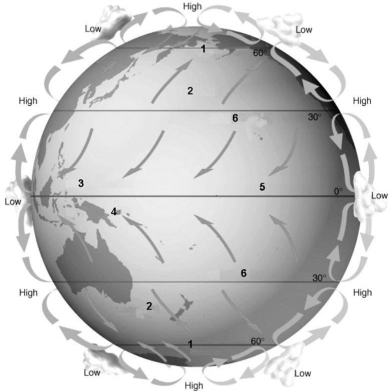 Refer to the figure below and use the numbers that correspond to global wind belts and latitudes to answer the following question.    -The westerlies wind belt is the area corresponding to number: A) 1)  B) 2)  C) 3)  D) 4)  E) 5) 