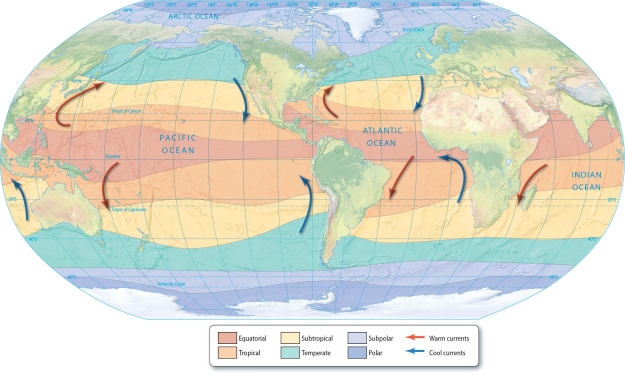 Refer to the figure below, and use the information on the map corresponding to the ocean's climatic regions to answer the following question.    -The oceanic climate region that is characterized by sea ice coverage in the winter and open water (but cold) in the summer is: A) polar. B) subpolar. C) temperate. D) subtropical. E) tropical. 